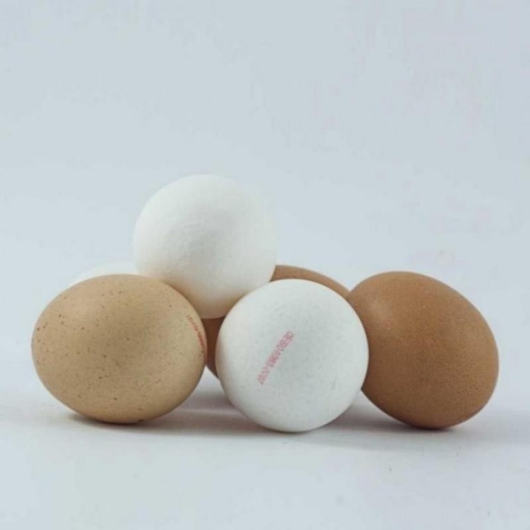 Huevos sin estuche ecologicos docena (SOLO PARA RECOGIDAS EN LA SIMIENTE)