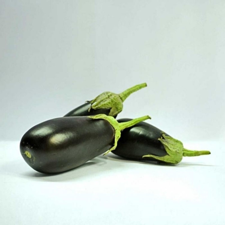 Berenjena negra ecologica