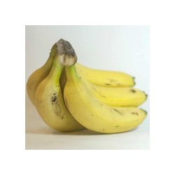 Plátano ecologico de Canarias