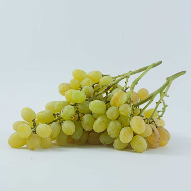 Uva blanca sin hueso ecologica