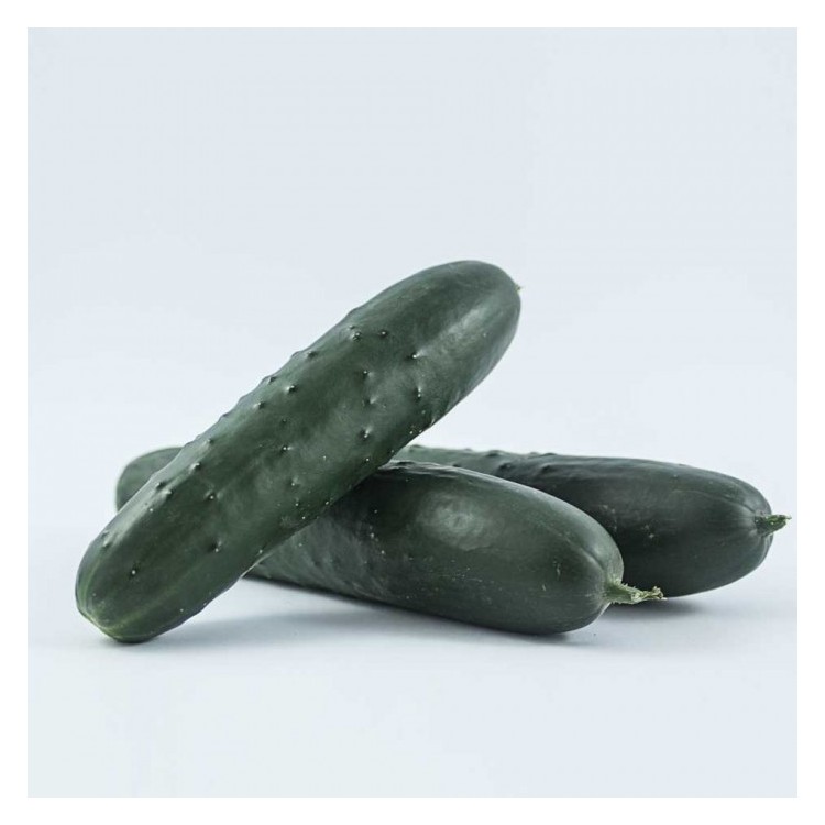 Pepino frances ecologico