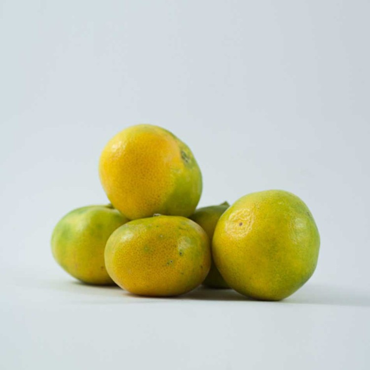 Mandarina Okitsu ecologica