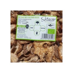 Seta Melena de leon deshidratada en polvo ecologica (20g) Setacor