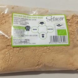 Seta Melena de leon deshidratada en polvo ecologica (20g) Setacor