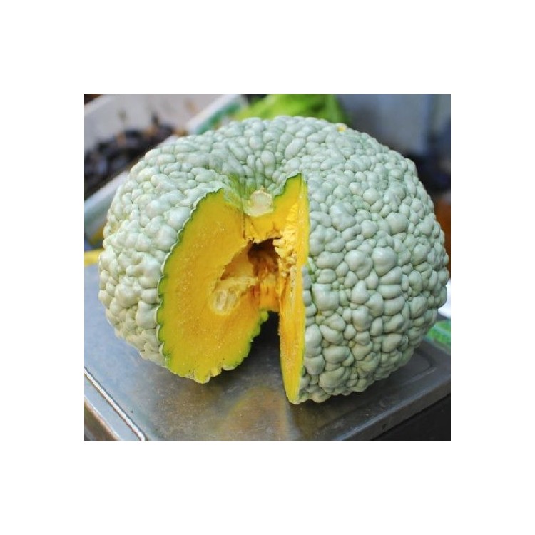 Calabaza totanera ecologica Kg. (se ajustará peso)