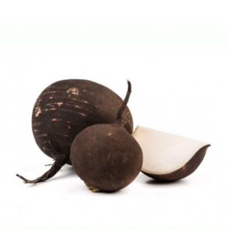 Rabano negro ecologico manojo