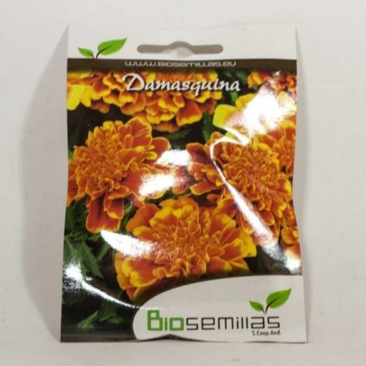 Semillas de Damasquina